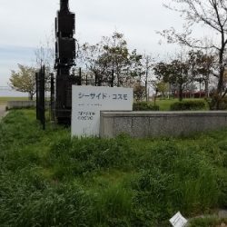 約1年ぶりの釣果