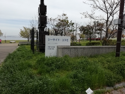 約1年ぶりの釣果