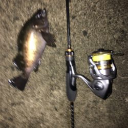 ナイトメバリング