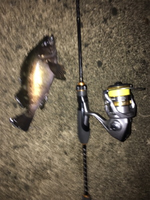 ナイトメバリング