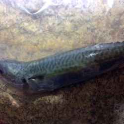 仕事終わりにライトゲーム