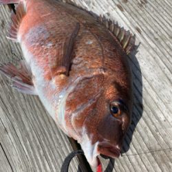 カタタの釣堀にて