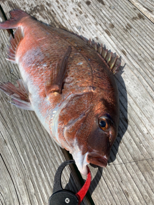 カタタの釣堀にて