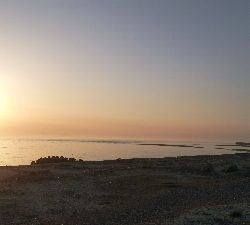 重信川ウェーディングでヒラメ20センチ