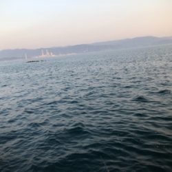 狙って釣れると嬉しいな。