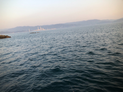 狙って釣れると嬉しいな。