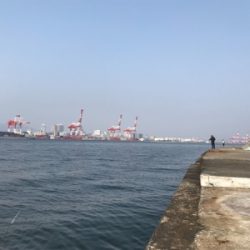 潮が動かなきゃどないもなりません