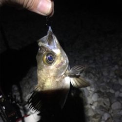 赤いフロート(笑)