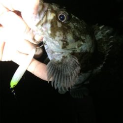 泉南サーフゲーム