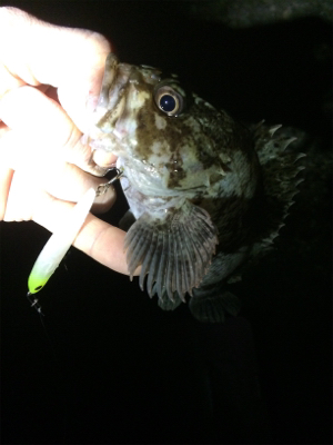 泉南サーフゲーム