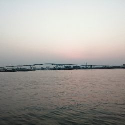 お花見前のプチチニング