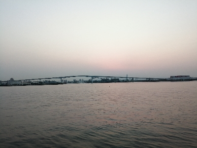 お花見前のプチチニング