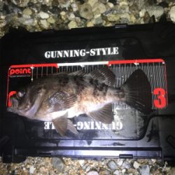 フロートメバリング