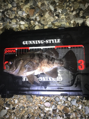 フロートメバリング