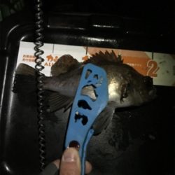 生口島ライトゲーム②