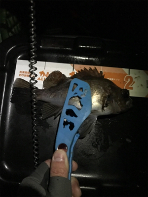 生口島ライトゲーム②