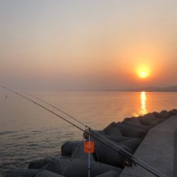 花見カレイ狙い