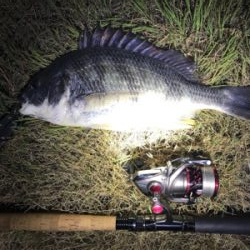 仕事終わりに1時間だけナイト黄チニング