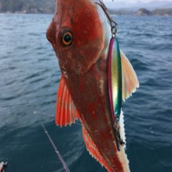 マイボート釣行…南伊勢