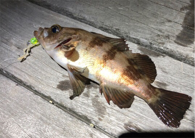 メバソイメバメバ