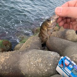 ランガンメバリング