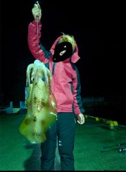 ミズイカ自己新記録釣れました