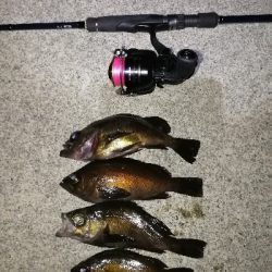 短時間メバリング