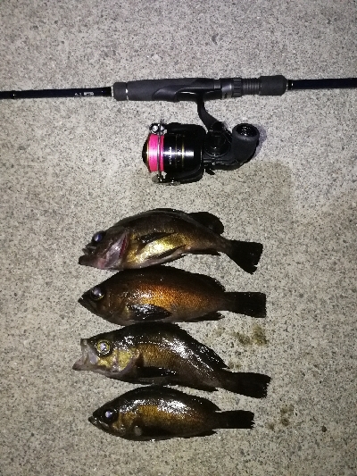 短時間メバリング