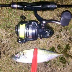 アジンガー1855〜1935