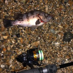 サーフメバリング