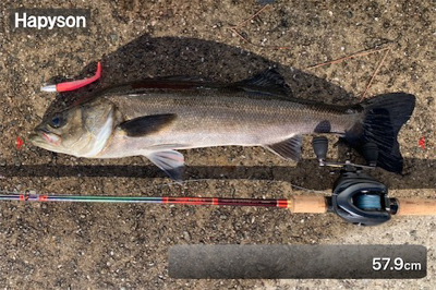 嵐の３日明けシーバス♫