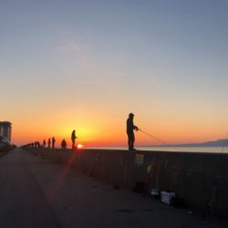 今年初のショアジギング