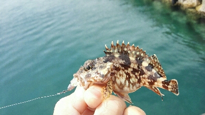 2019年4月13日釣行in鷹島