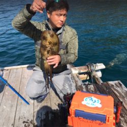 つりぴぃぽぉ釣果