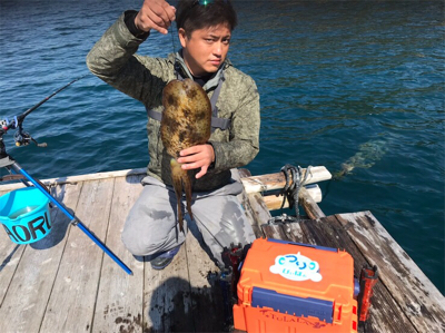 つりぴぃぽぉ釣果