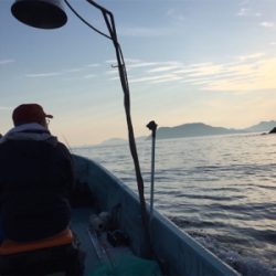 タイラバ エギング