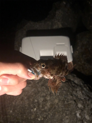 久々のライトゲーム