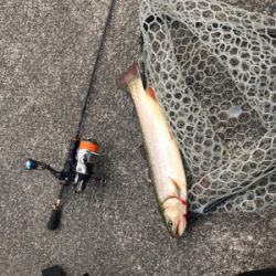 平成最後の栃木総合運動場フィシングフィールド