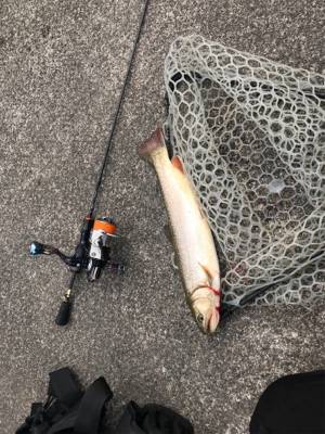 平成最後の栃木総合運動場フィシングフィール…