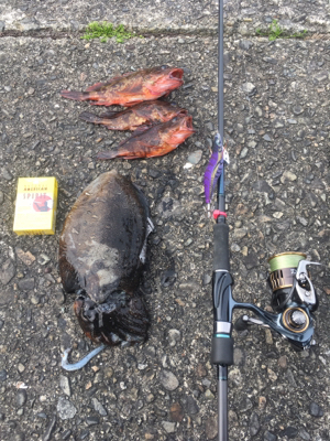 エギング 穴釣り