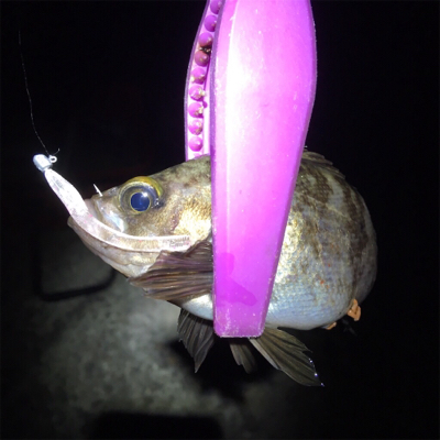 食コンアジング