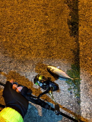 仕事終わりアジング