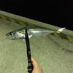 仕事終わりの一息