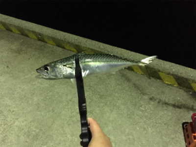 仕事終わりの一息