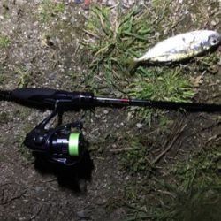 アジングゲーム