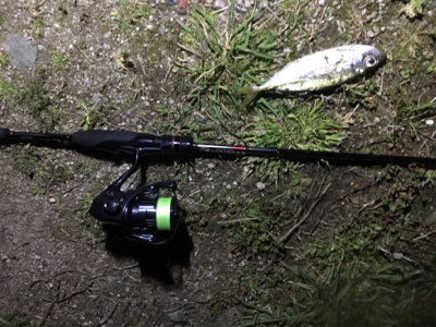 アジングゲーム