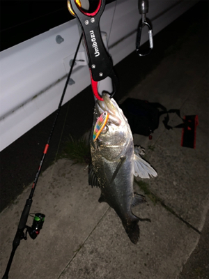 いつもの場所で