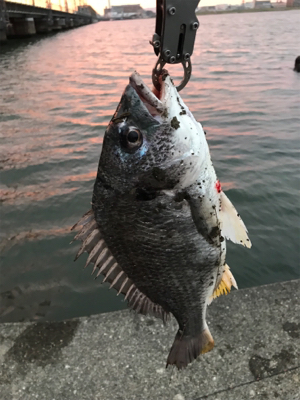 黄チニング上達しました