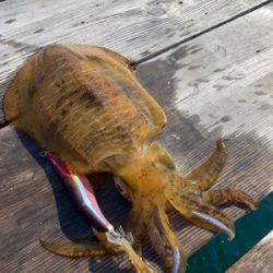 久しぶりのご対面