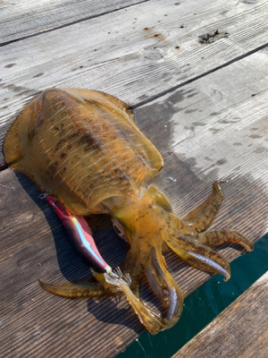 久しぶりのご対面